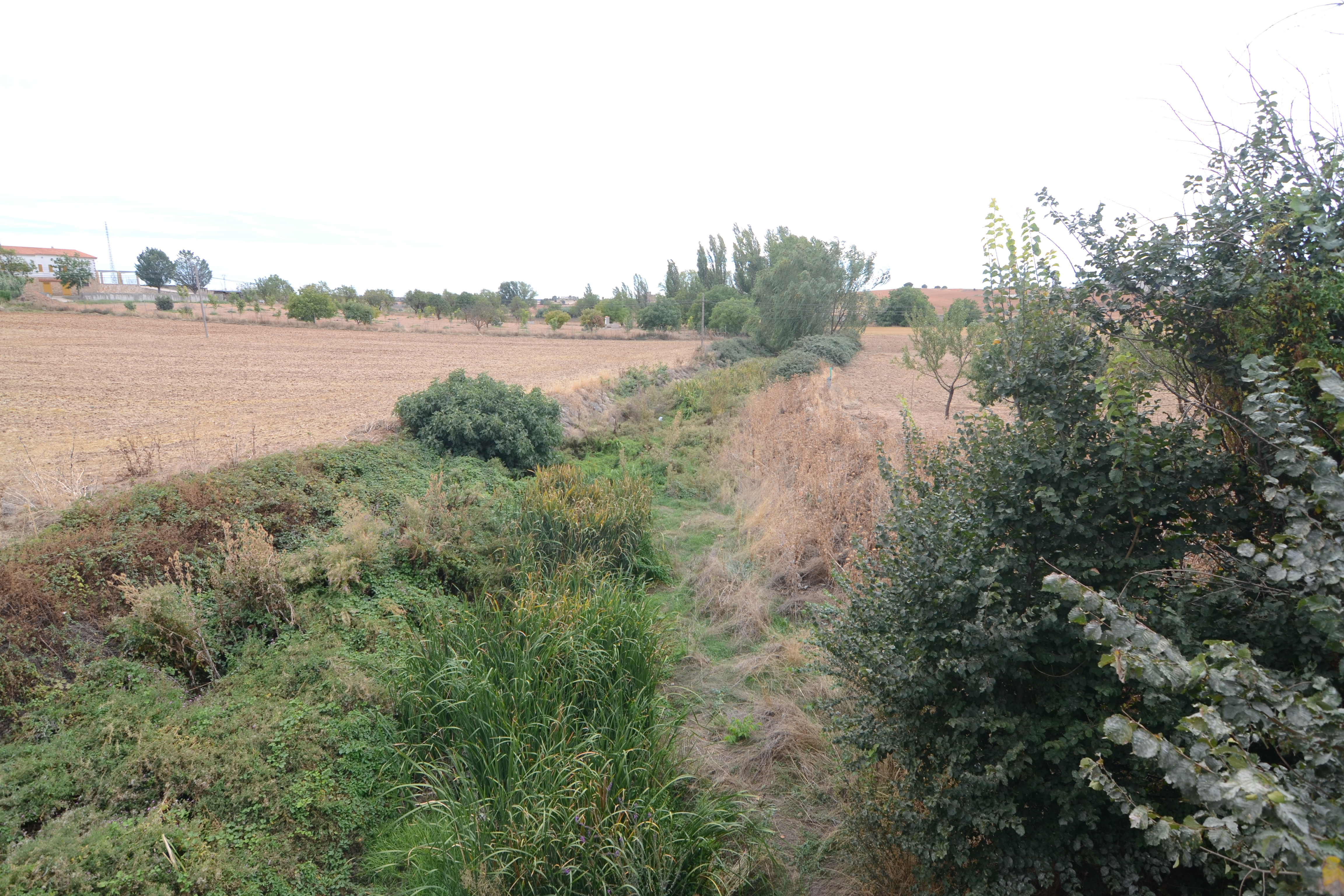 Arroyo de La Vega