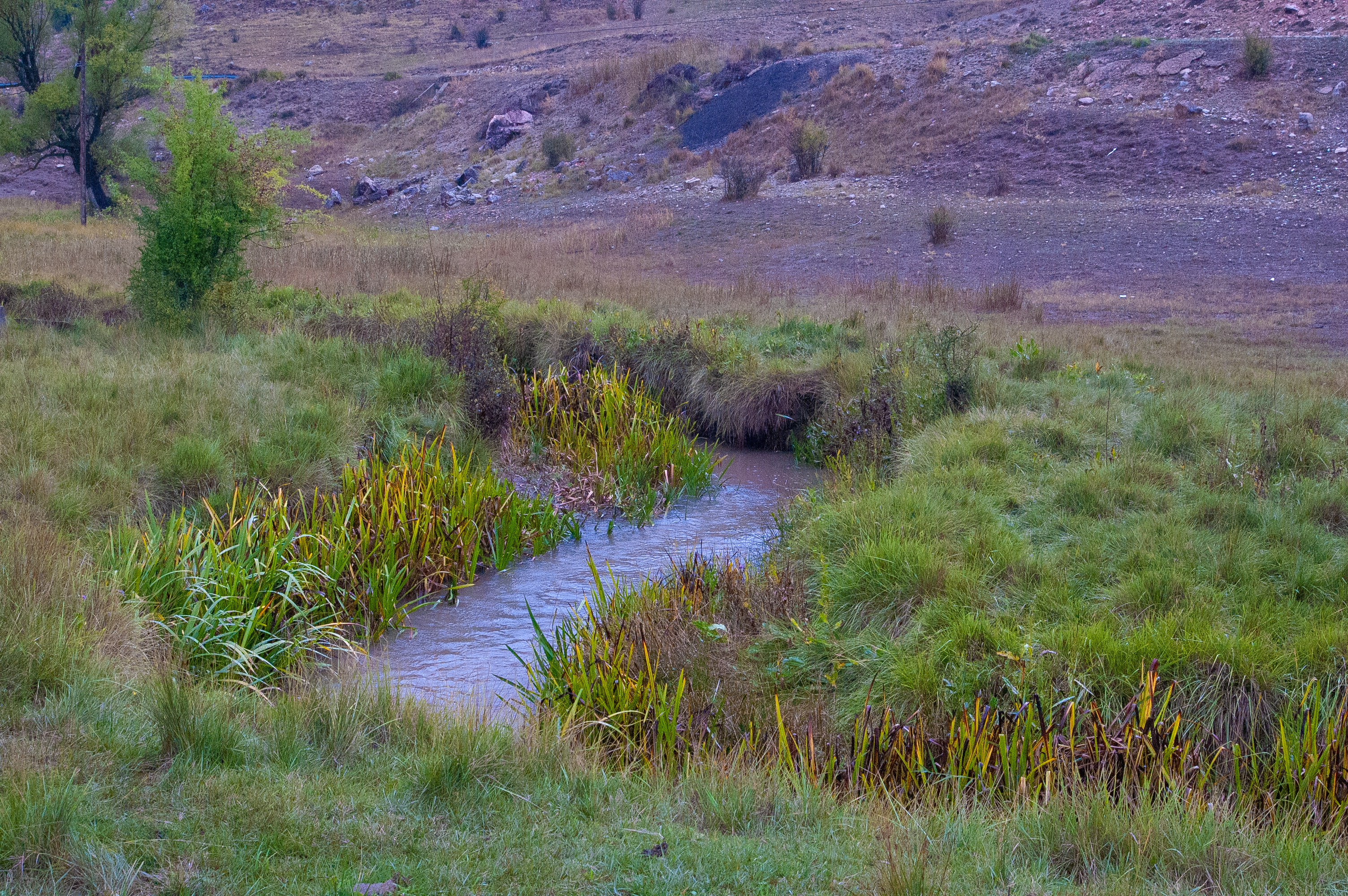 Río Júcar Río Júcar