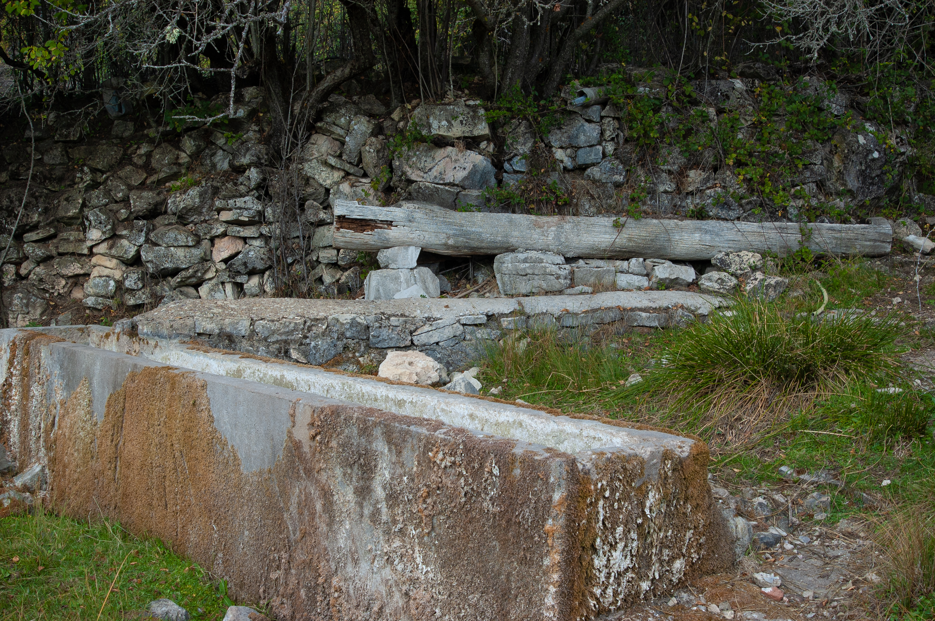 Fuente de las Nogueras Fuente de las Nogueras
