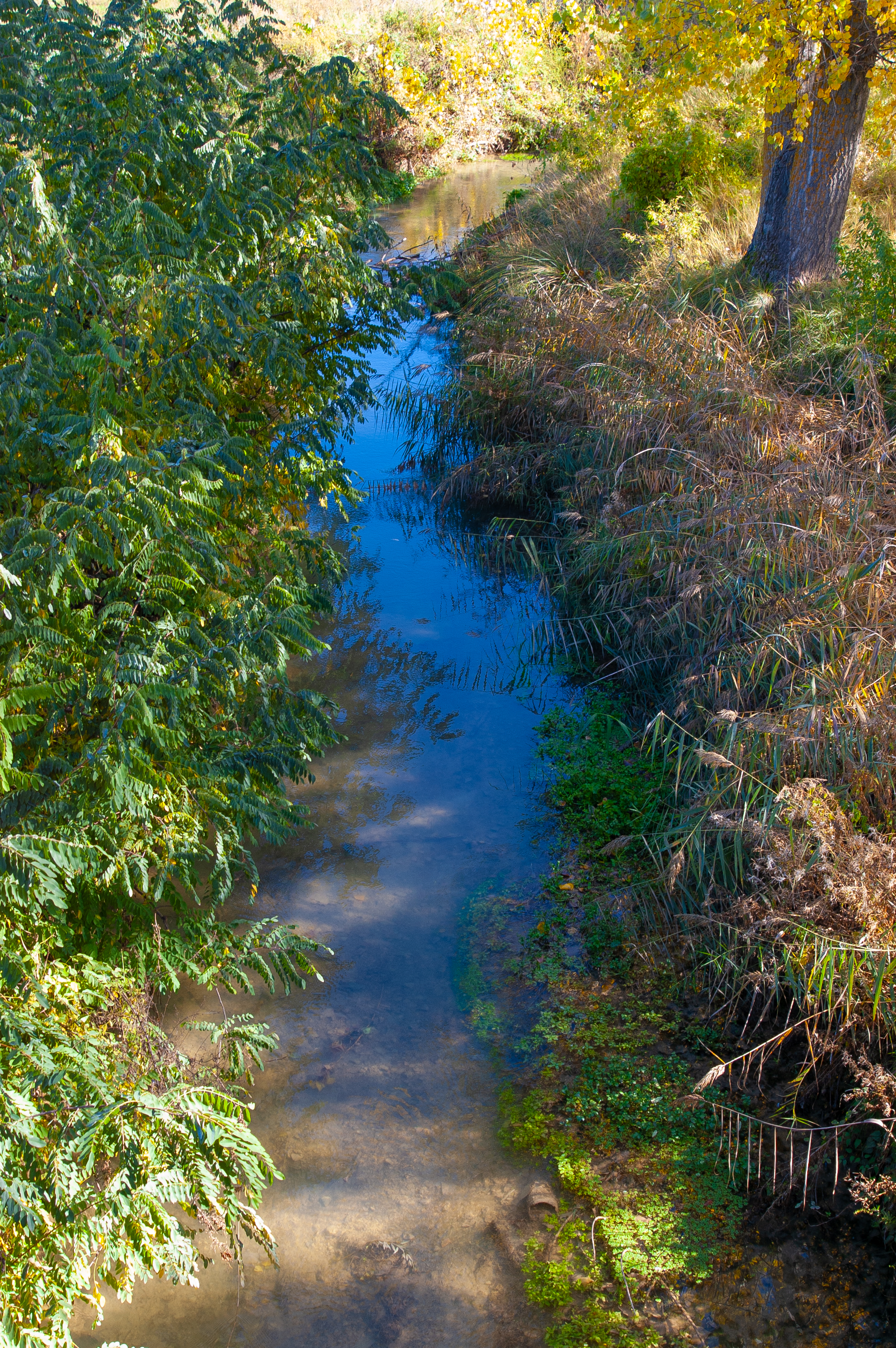 Río Mosca