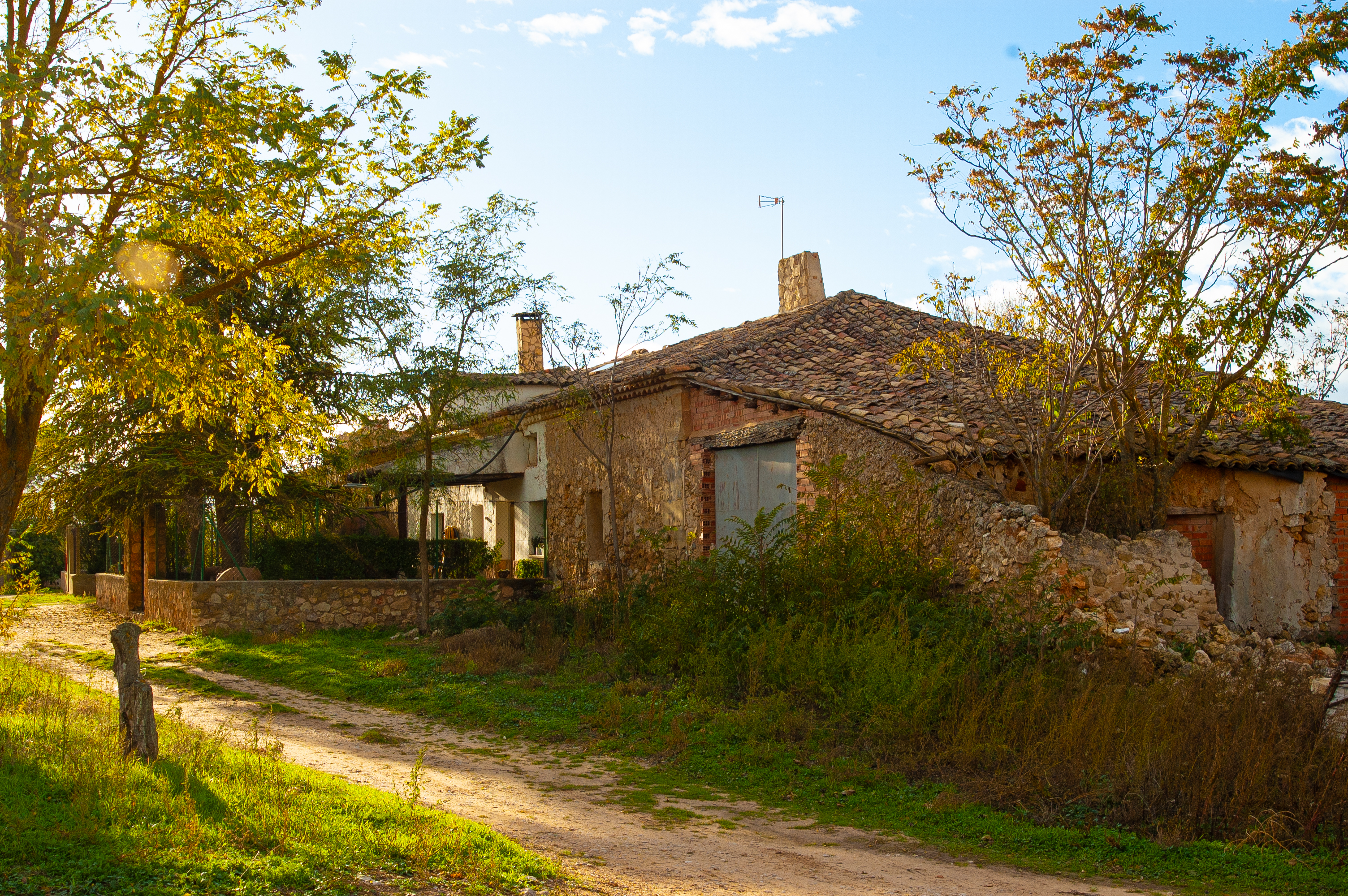 El Abengózar 