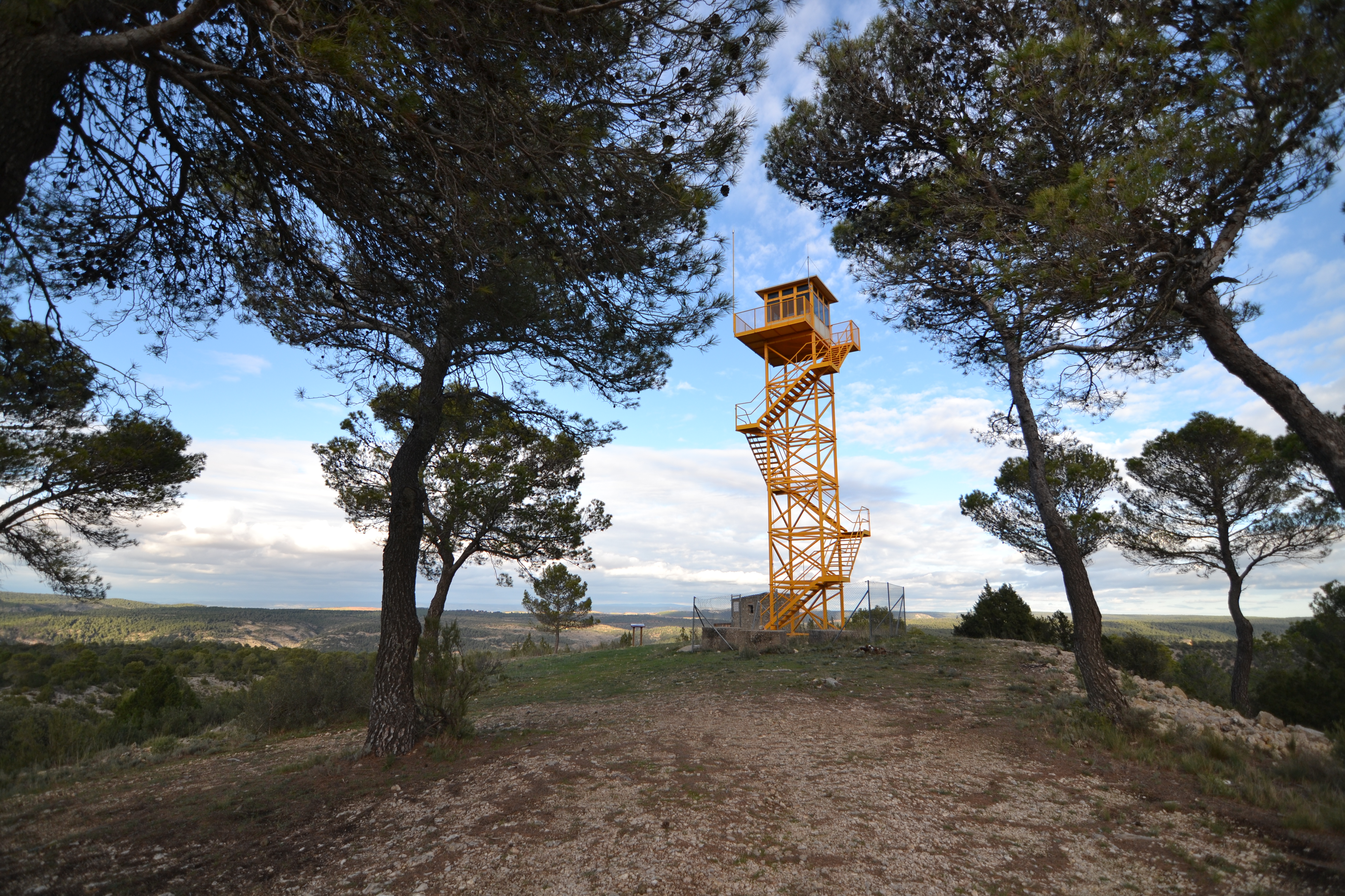 Torre de Vigilancia Forestal