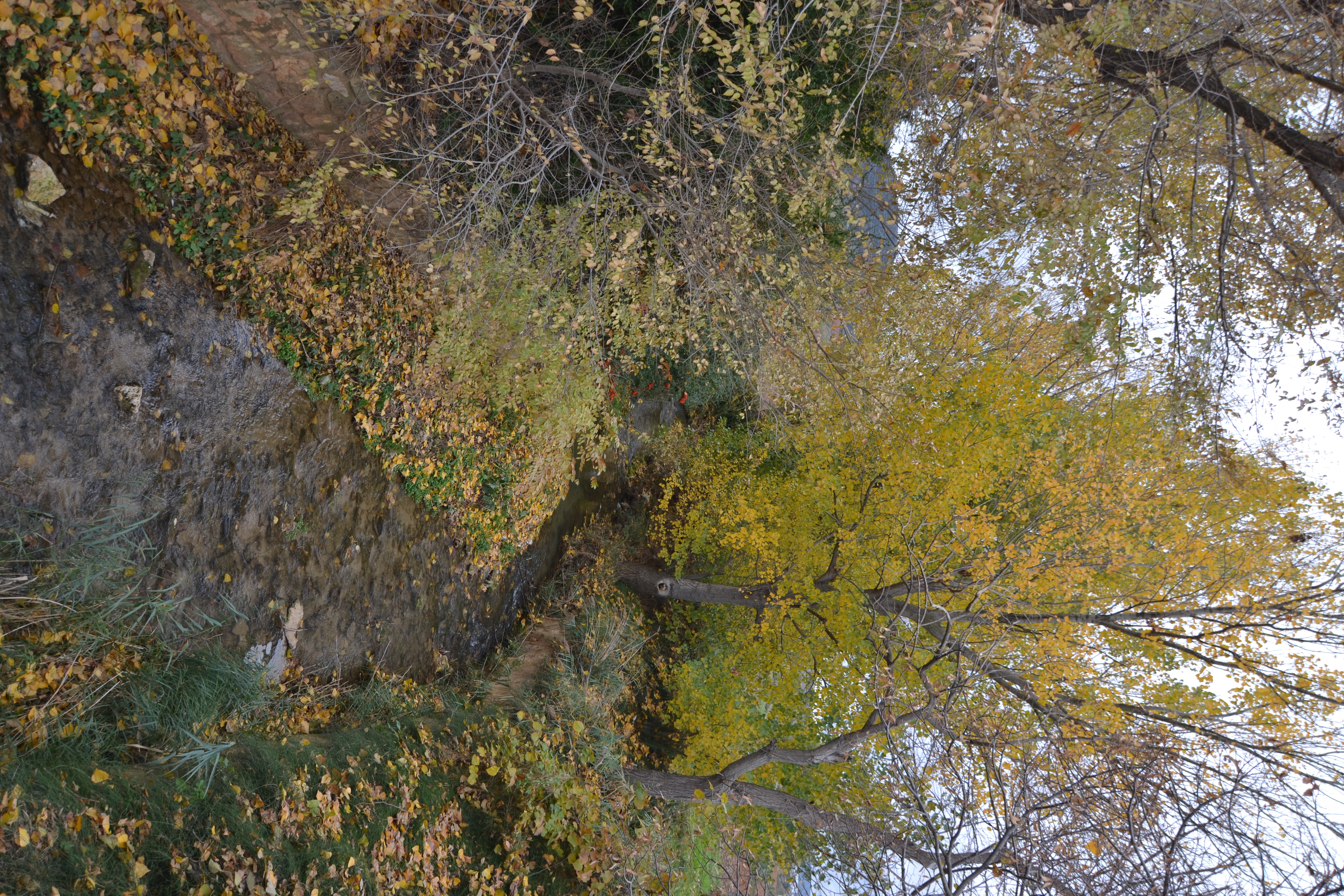 Río San Martín Río San Martín