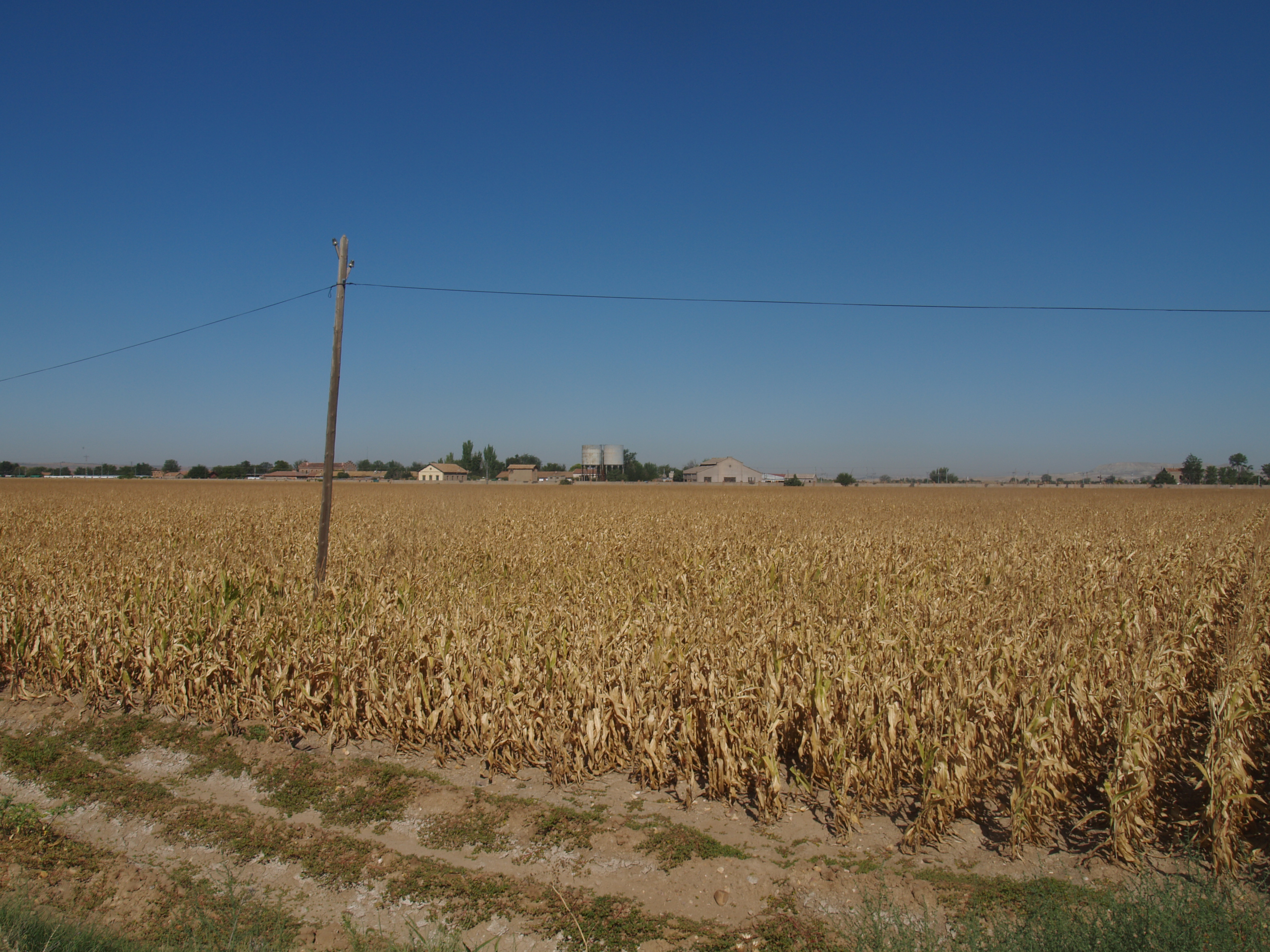 Estación de Algodor