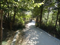 Zona de sombra en el Camino Natural