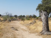 El sendero se estrecha