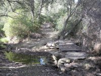 Pequeño vado para atravesar un arroyo
