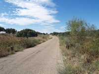 Andadura a lo largo de la carretera local