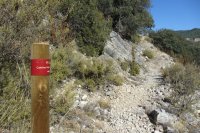 Hito en el borde del Camino