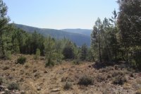 Subida al mirador de la Rocha