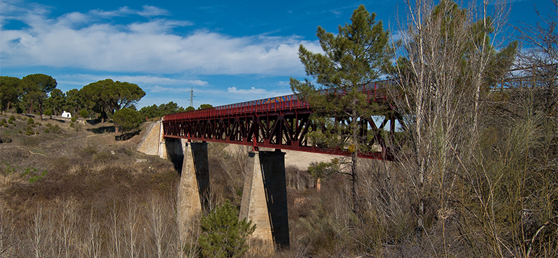 Camino Natural Vía Verde Valle del Eresma. Etapa 3: Nava de la Asunción - Olmedo
