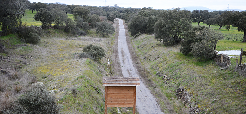 Camino Natural Vía Verde de Monfragüe