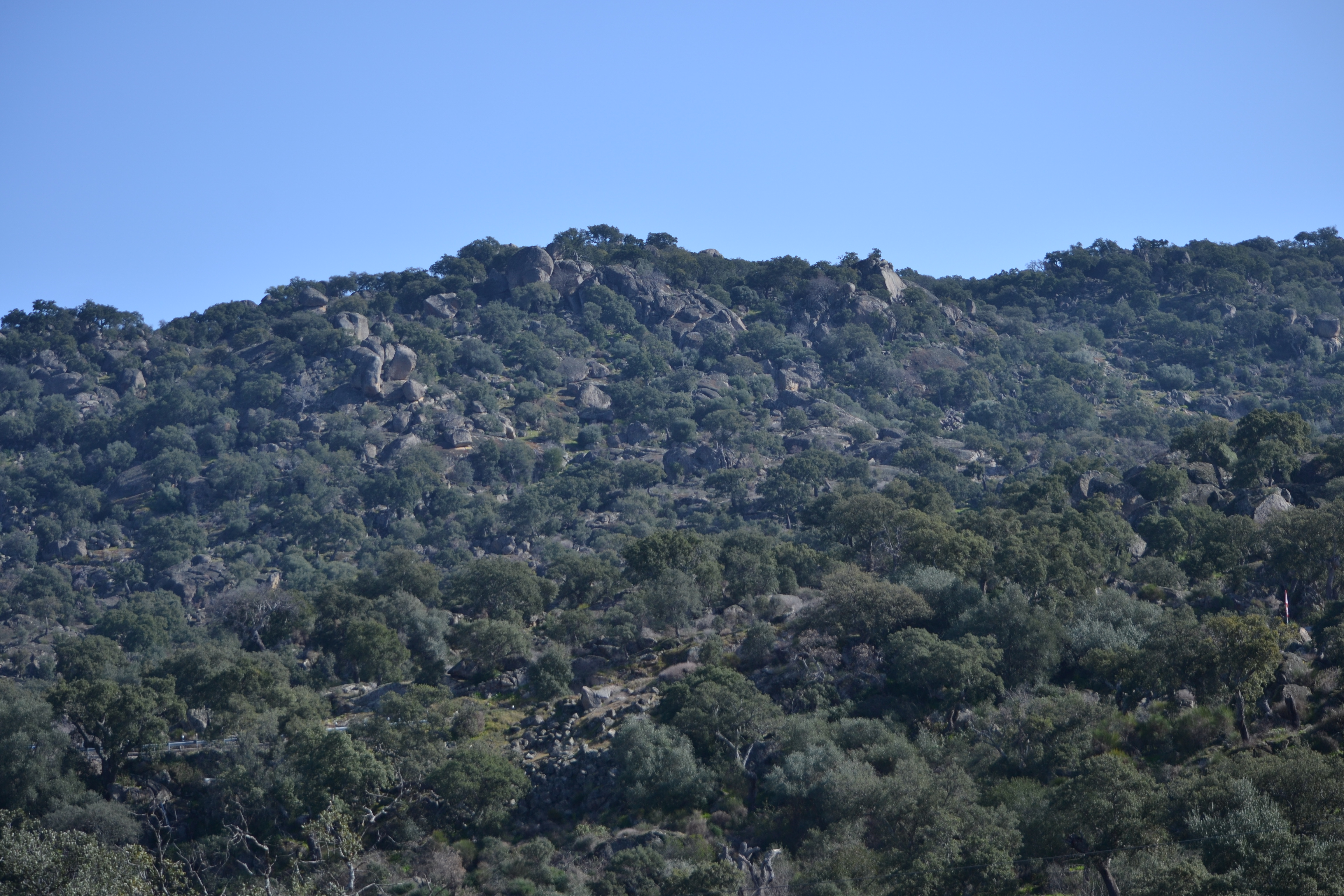 Protected Landscape Monte Valcorchero