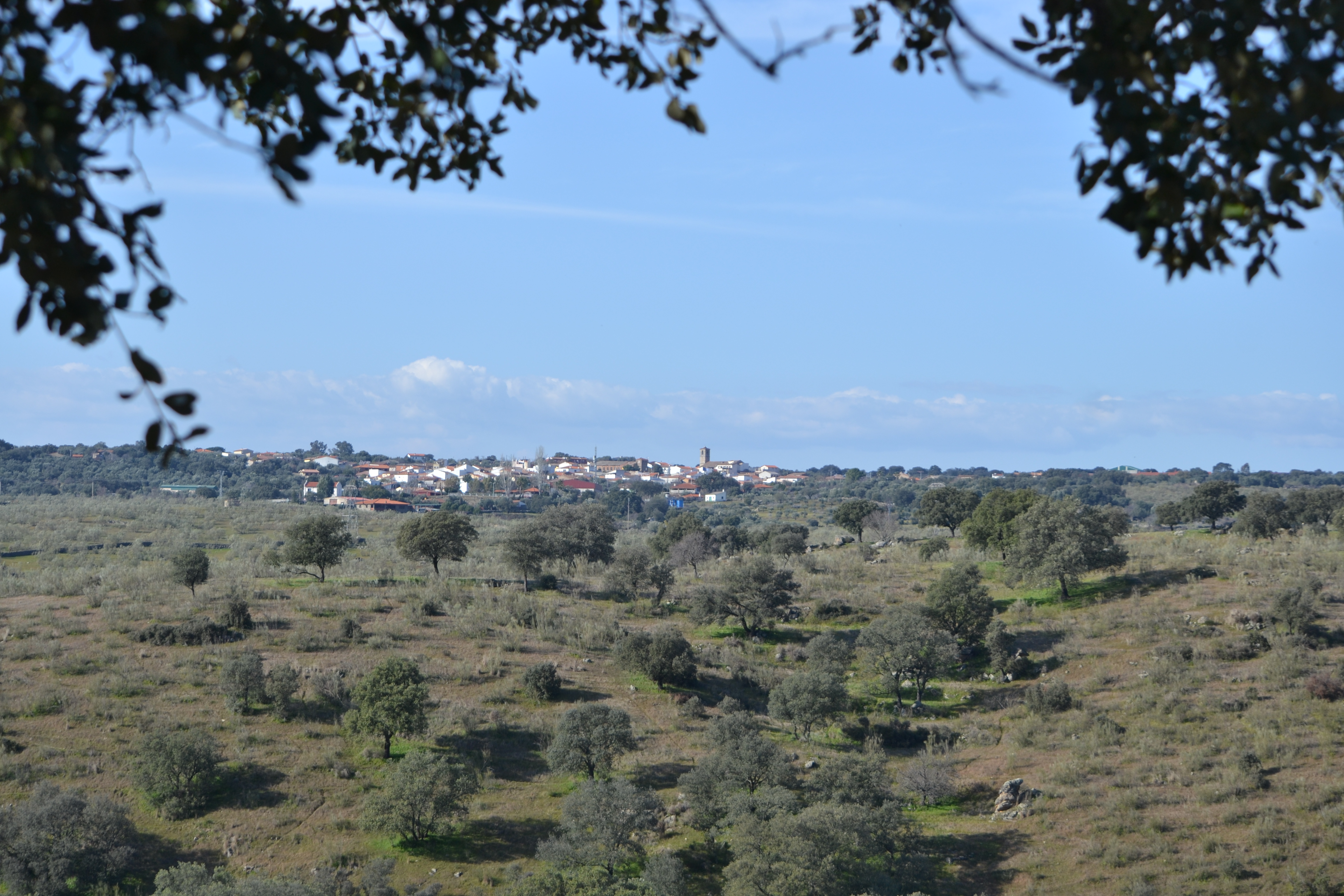 Oliva de Plasencia