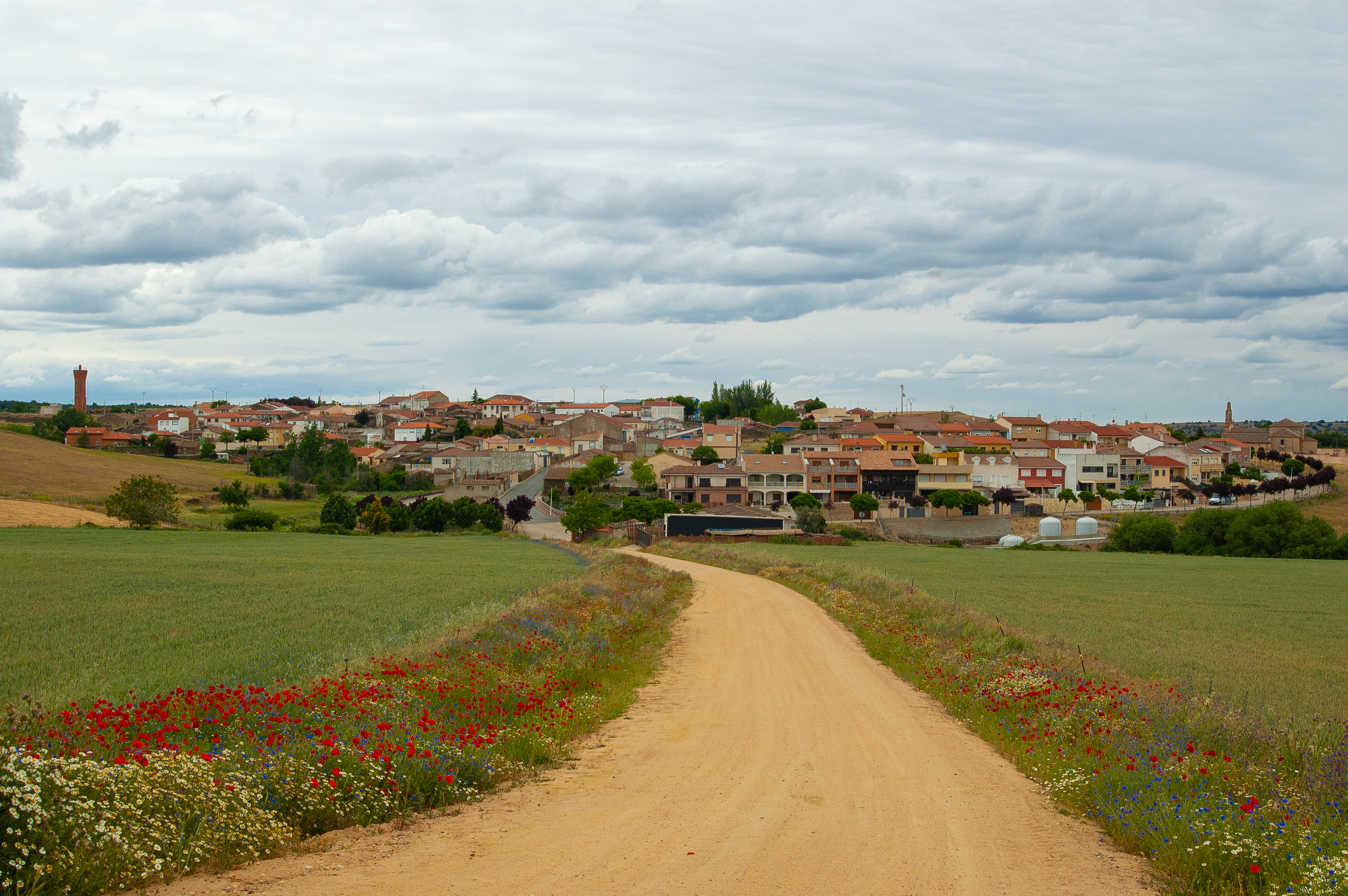 Terradillos 