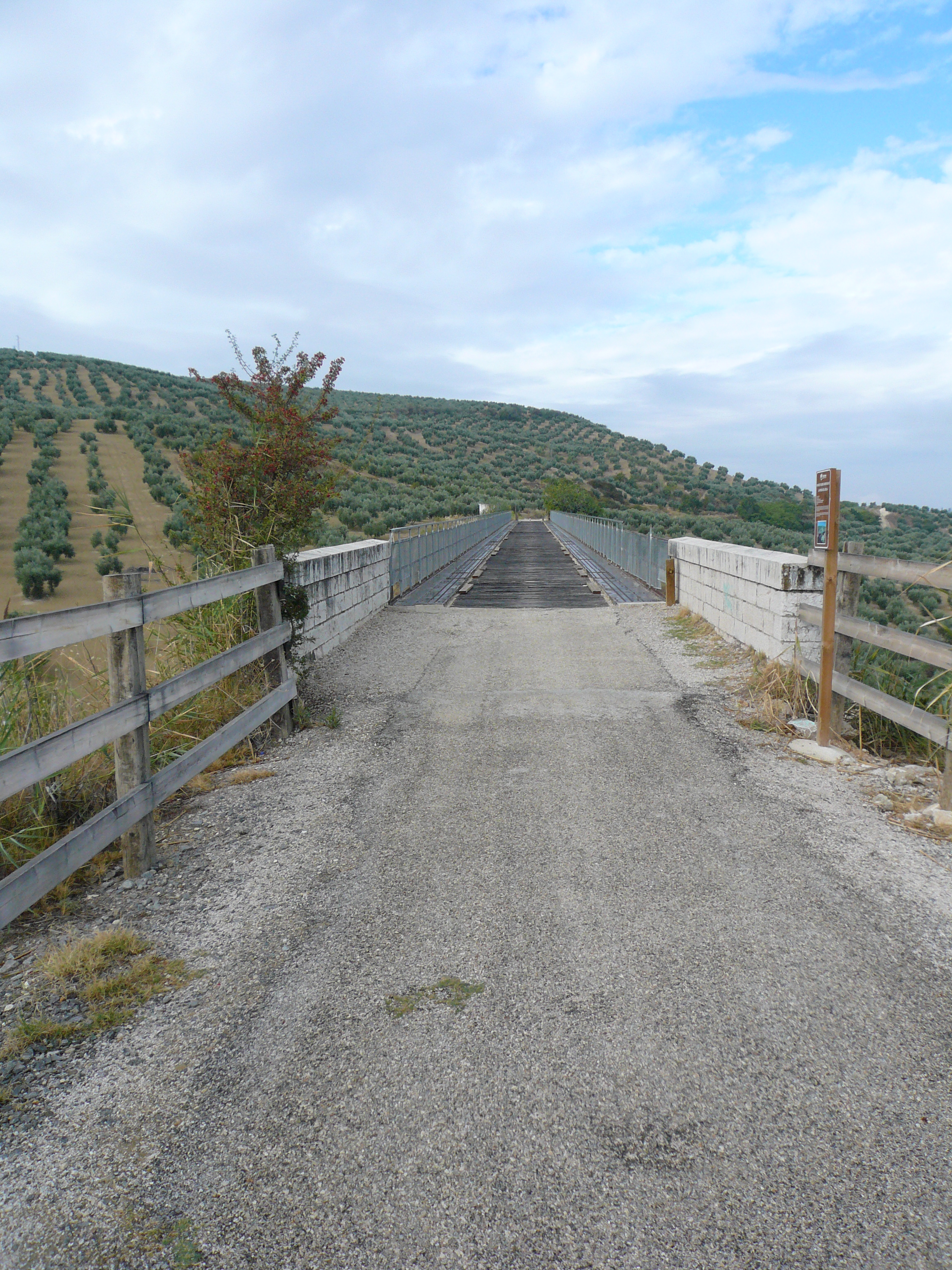 Viaducto de Piedra del Águila
