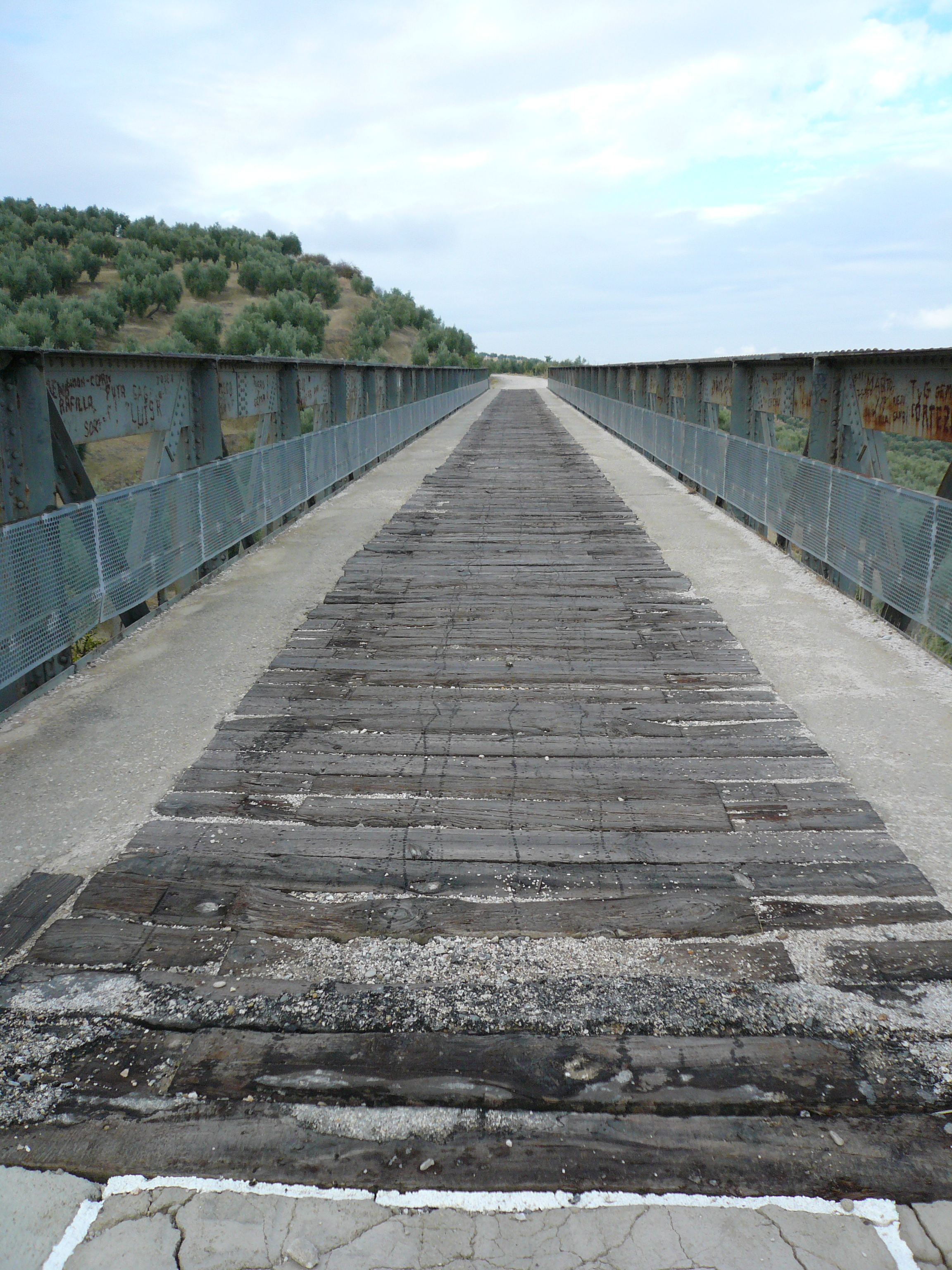 Viaducto bajo