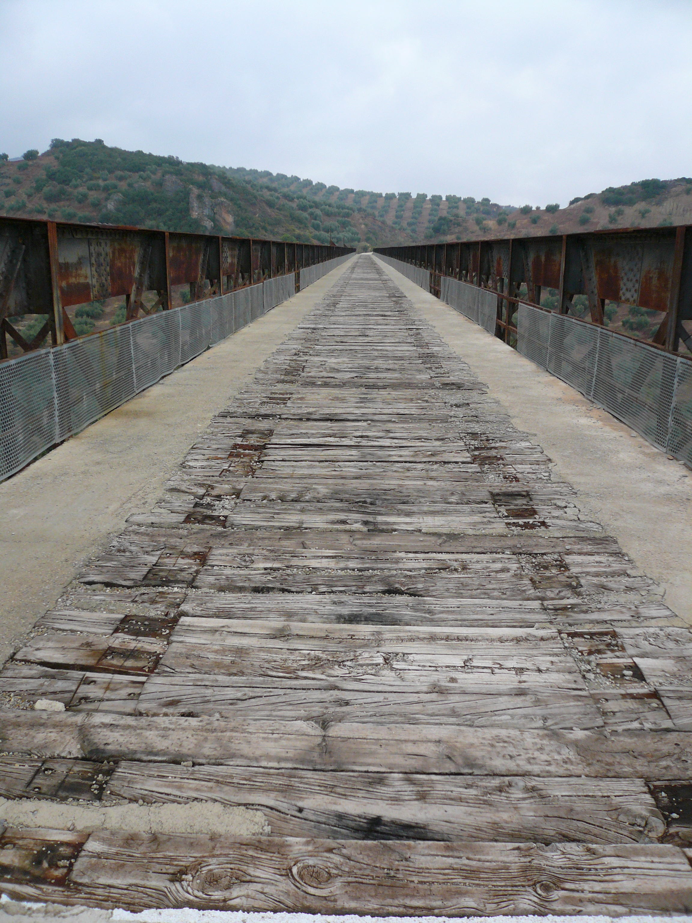 Viaducto del Arroyo del Salado