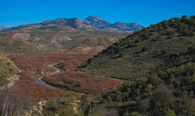 Viaducto sobre el río Guadajoz