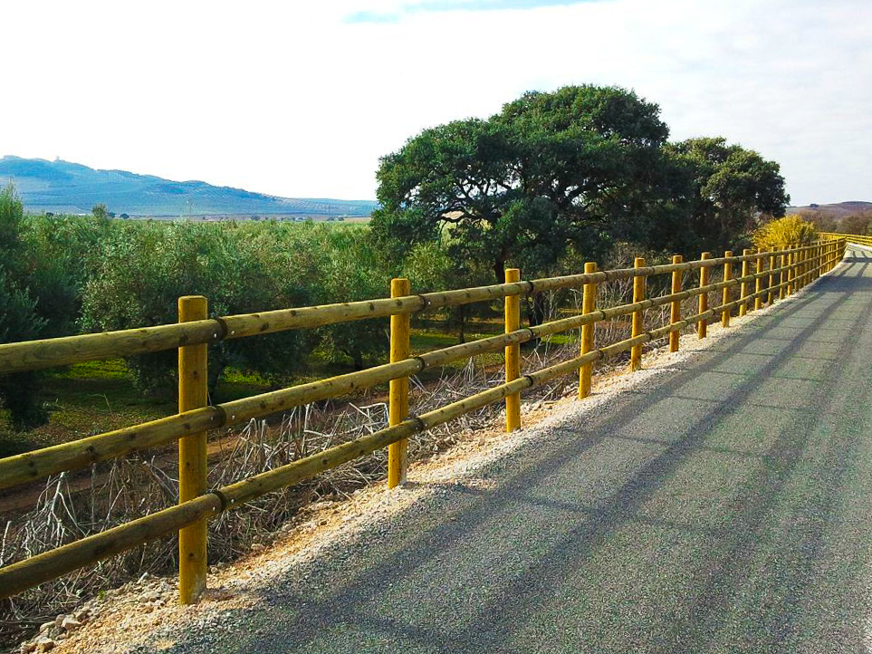 Camino Natural Vía Verde del Aceite Etapa 9: Estación de Navas del Selpillar-Lucena - Estación de Campo Real