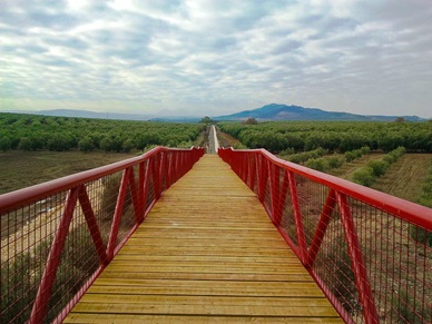 Pasarela peatonal que salva la carretera A-318
