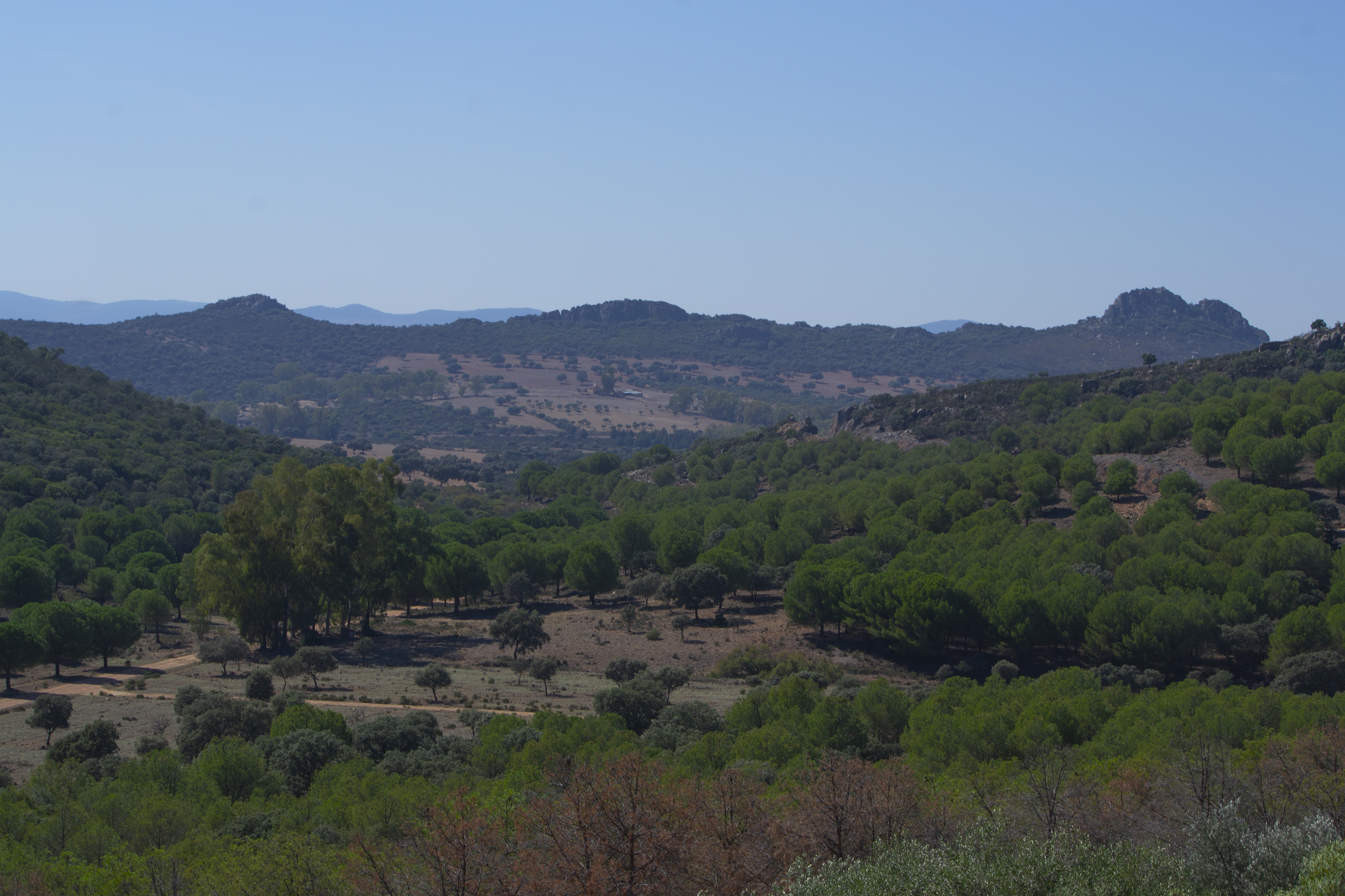 Sierra Morena
