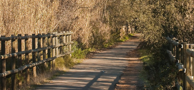 Camino Natural Vía Verde de Los Molinos del Agua