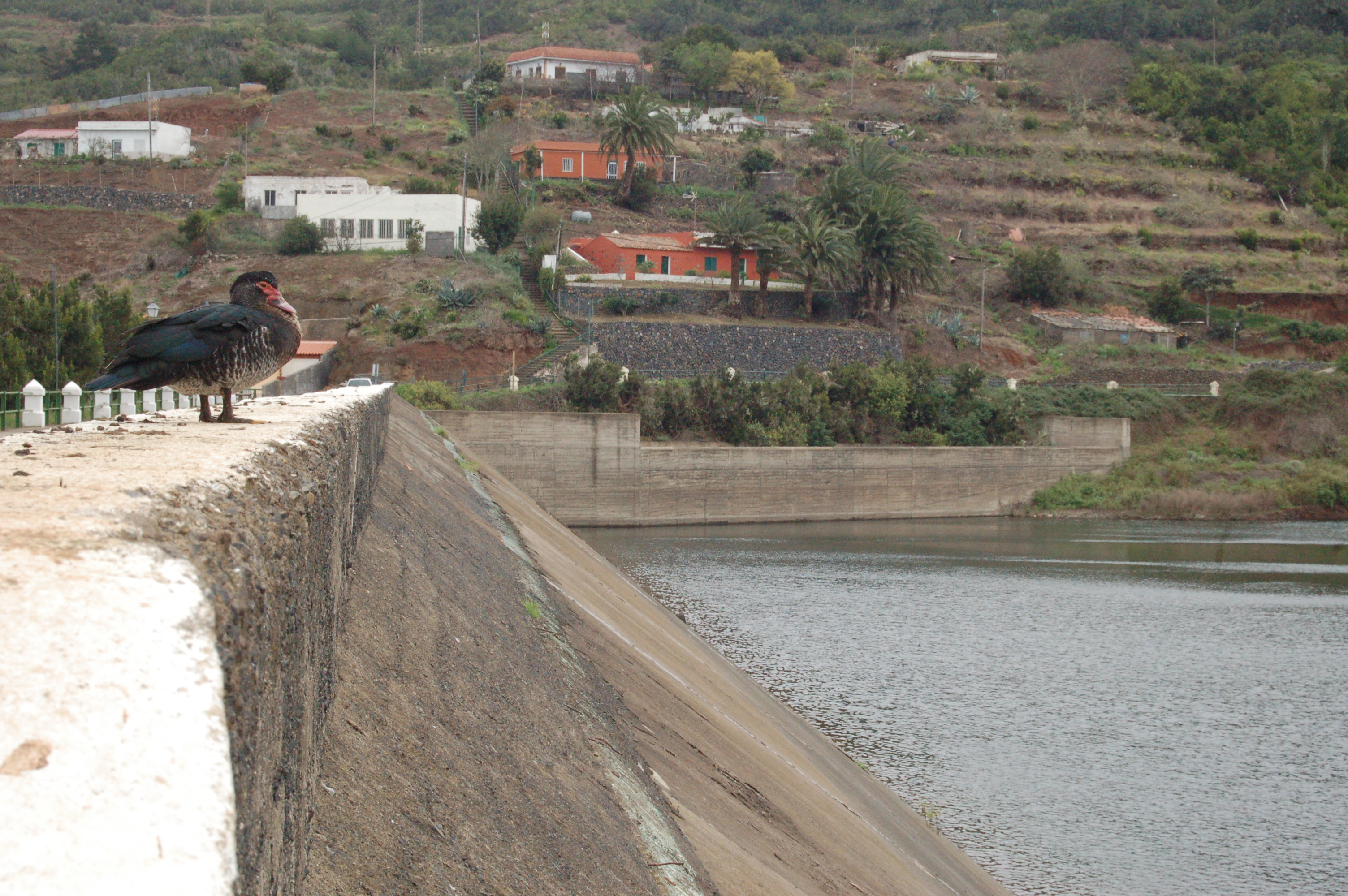 Embalse de Amalahuigue