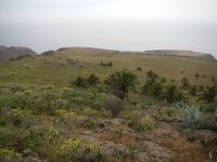 Vista de la Loma de la Sabinita