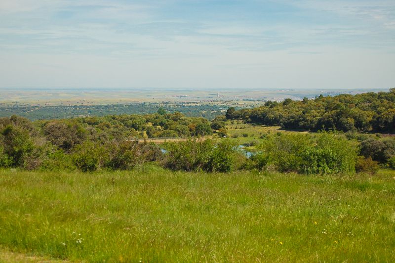 Embalse de Peces