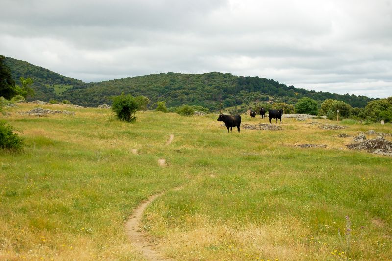 Cerro de Matabueyes