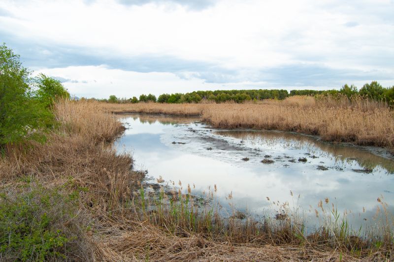 Área de laminación