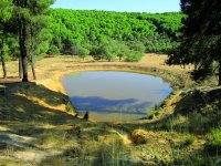 Balsa forestal en el inicio de la etapa