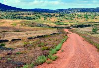 Cordel de las Merinas cerca del arroyo Grande