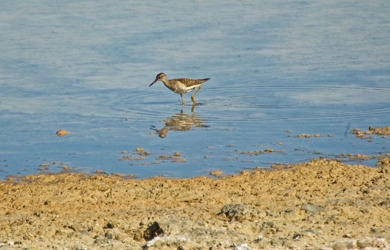 Laguna Grande de Villafranca de los Caballeros