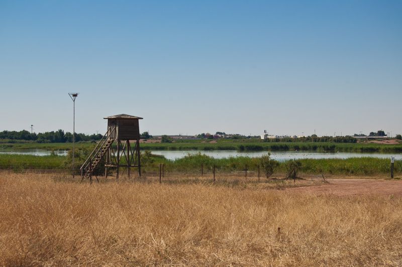 Observatorio de aves