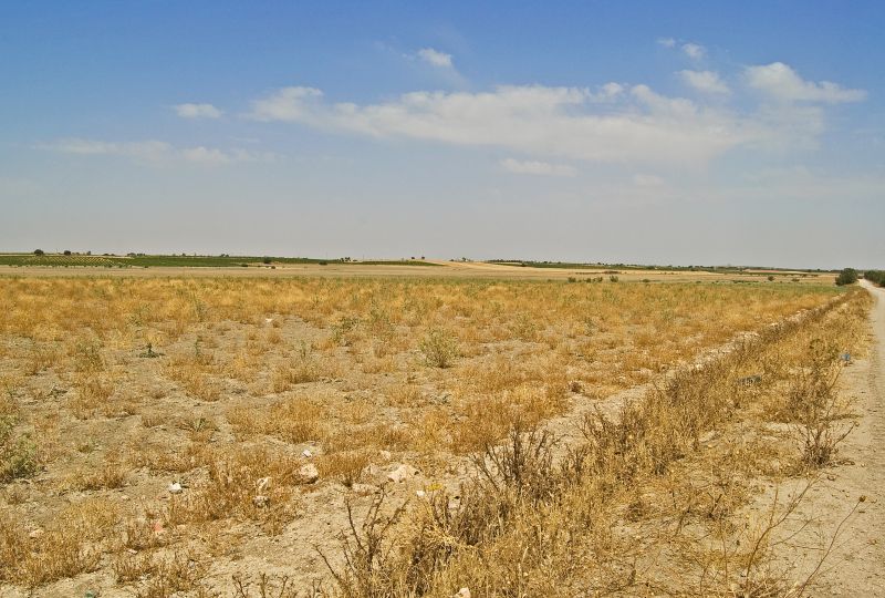 Laguna del Retamar