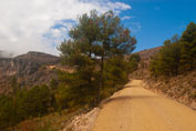 Camino Natural antes del Mirador de Tragacete