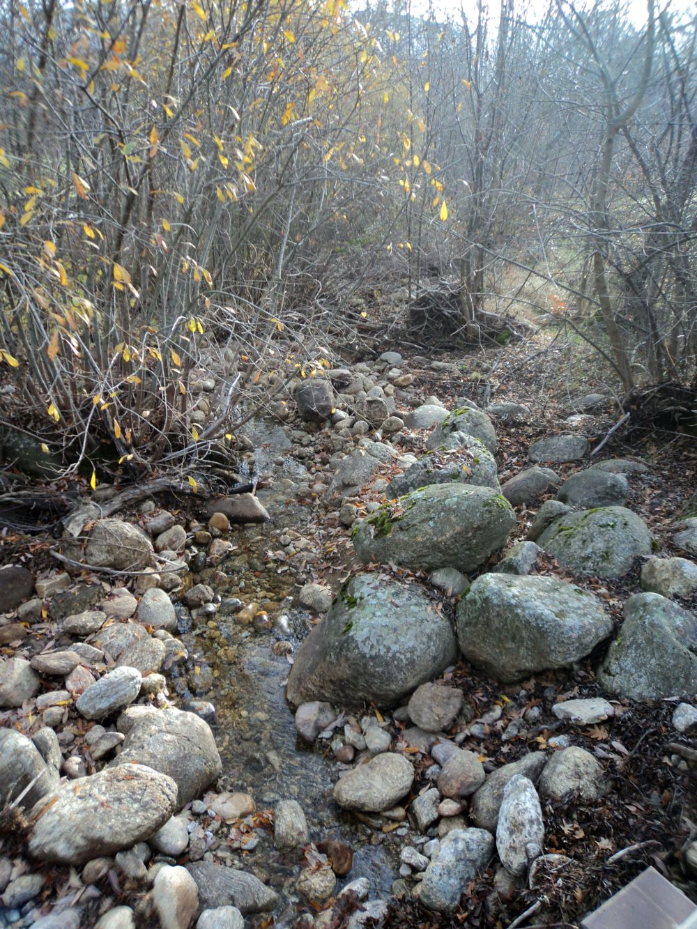 Arroyo de los Hoyos de Pinilla