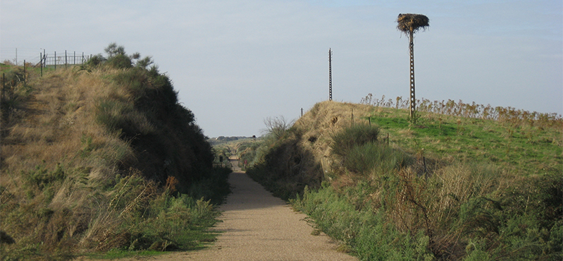 Camino Natural Vía Verde Vegas del Guadiana