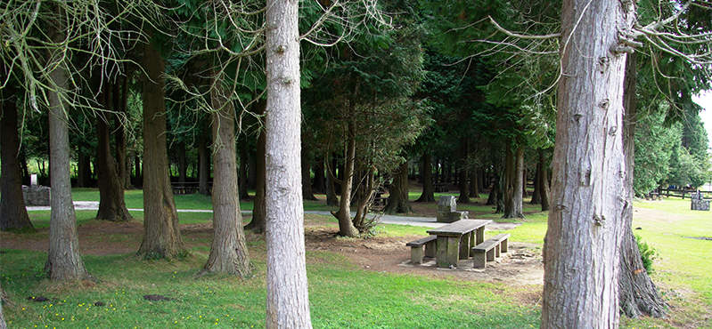 Camino Natural Senda del Pastoreo: Etapa 3