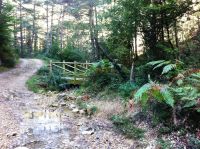 Paso sobre el arroyo Polledo, afluente del río Purón