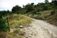 La pista que va tomando altura por la falda norte de los Montes de Vitoria