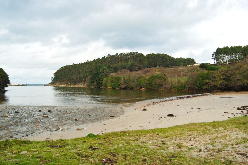 Playa de Protocelo