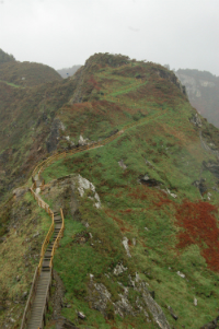 Fuciño do Porco