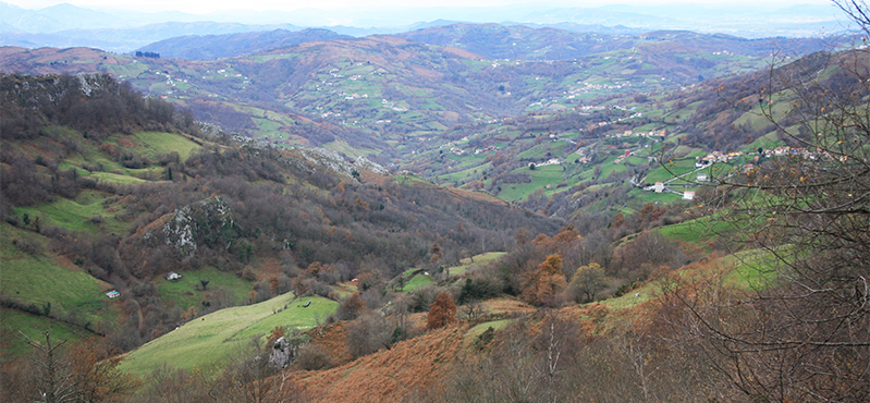 Camino Natural de la cordillera Cantábrica. Asturias Interior. Etapa 9: Los Melendreros - Entralgo