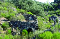 Ruinas de molino