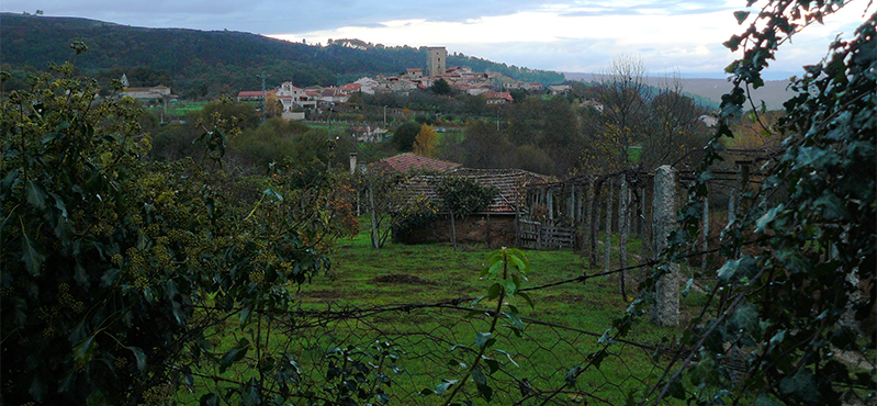 Camino Natural del Interior. San Rosendo. Tramo Celanova a Ourense