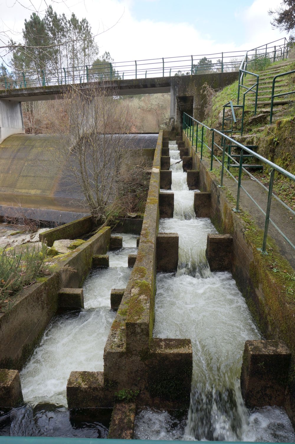 Presa de Barbantiño