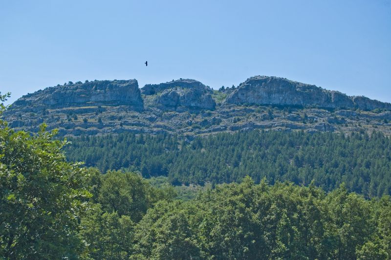 Sierra de Cabrejas